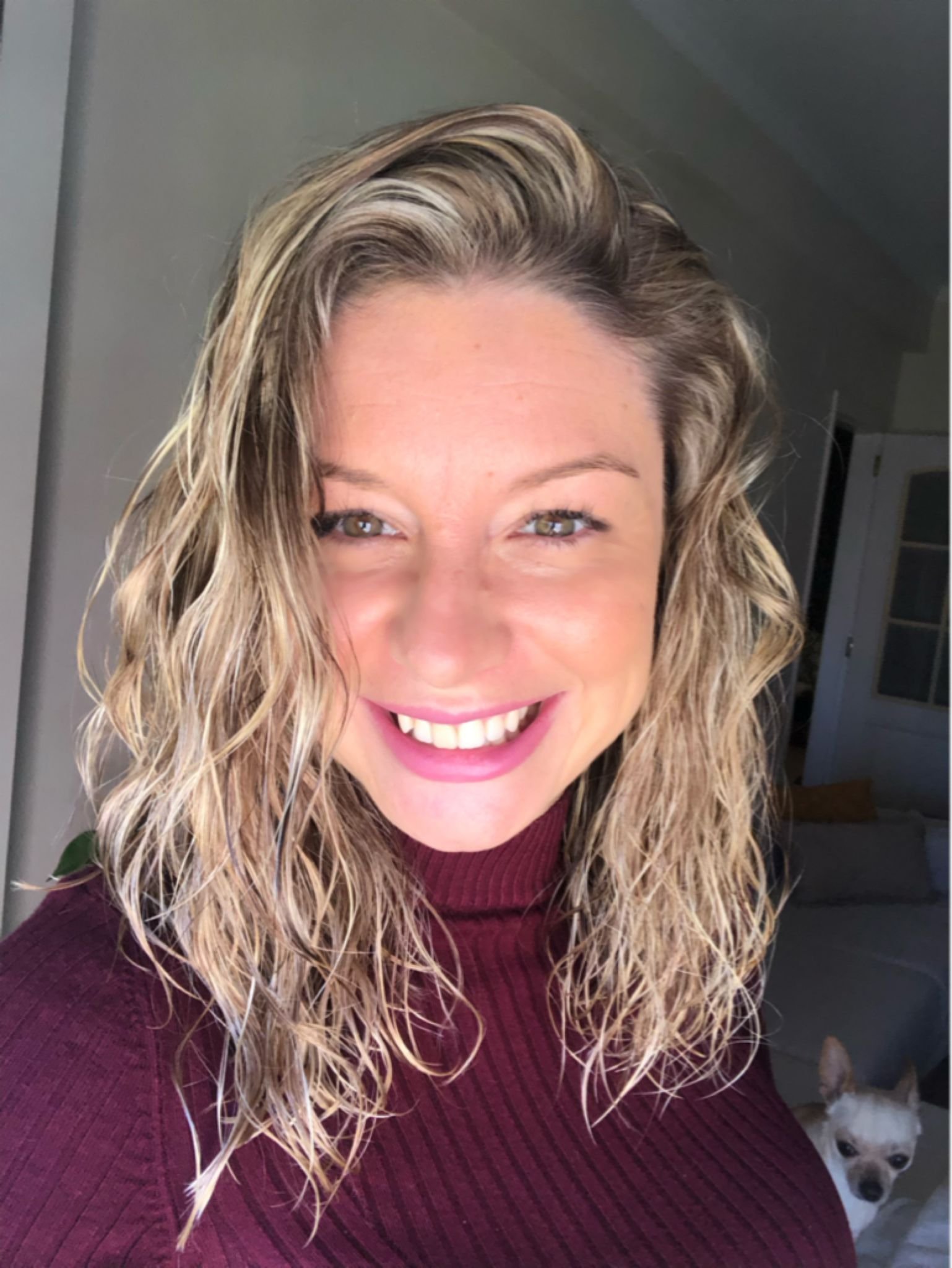 whatsapp image 2026 02 09 at 22.54.07