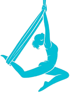 photo 2026 02 06 12.12.04 removebg preview