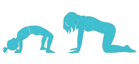 photo 2026 02 10 13.44.37 removebg preview